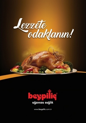 www.beypilic.com.tr