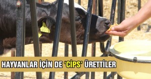 hayvanlar_icin_de_cips_urettiler_h151993