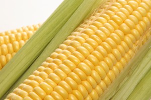 sweet-corn-2