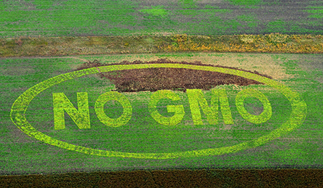 The inscription No GMO is seen
