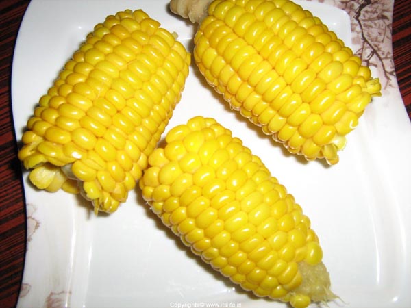 recipe-snacks-corn-on-the-cob