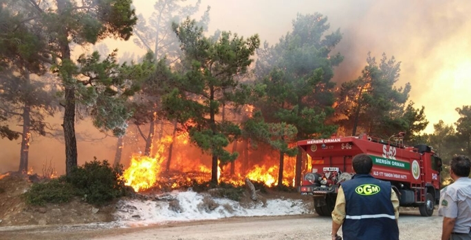 Mersin'in Gülnar ilçesinde kızılçam ormanında yangın çıktı.İlçeye bağlı Kocaşlı ile Büyükeceli mahalleleri arasındaki bölümde çıkan yangına ekiplerin müdahalesi sürüyor. (Yalçın Taşlıalan - Anadolu Ajansı)