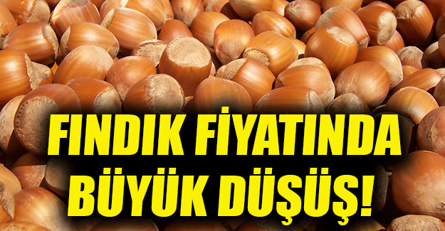 findik_fiyatinda_buyuk_dusus_h38353_89322
