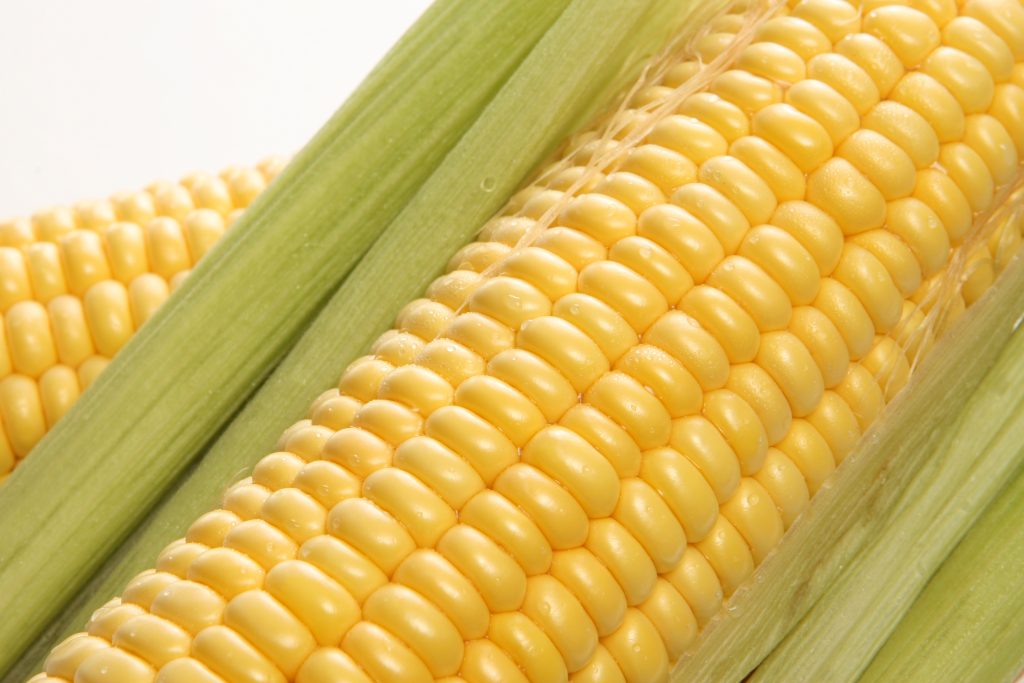 sweet-corn-2
