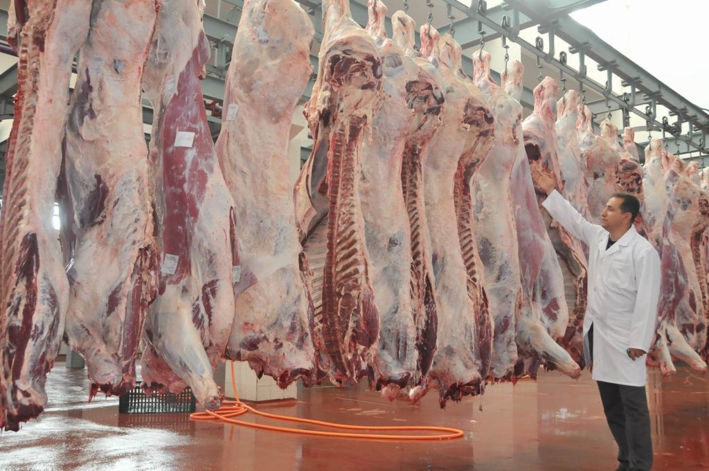 Et ve Balýk Kurumu (EBK)'nun et fiyatlarýný düþürmek için yaptýðý 8 bin tonluk ihale çerçevesinde yurtdýþýndan getirilen canlý hayvanlarýn kesimi sürüyor. Kasap ve marketler kesimi yapýlan ithal hayvanlarýn etlerine büyük talep gösteriyor
