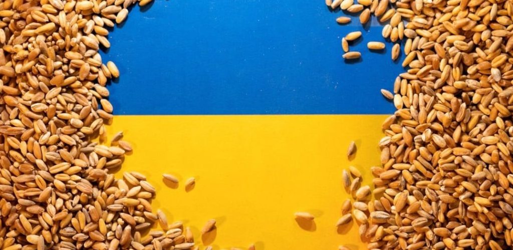 Ukrayna Tarım Bakanlığı buğday ihracatının %30 düştüğünü belirtti